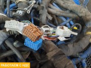 Проводка рамы левая