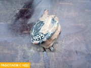 Камера тормозная левая